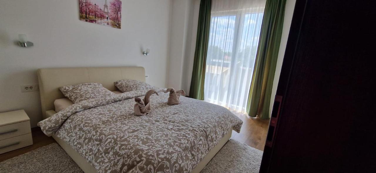Sahara Sands Loft Private Parking Timişoara Eksteriør billede